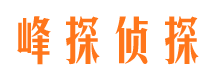 温泉市婚外情取证